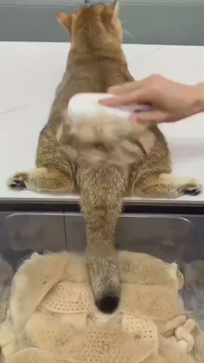 Pet Grooming Brush, Brushing cats
