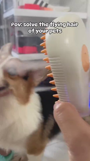 Pet Grooming Brush, Brushing dogs