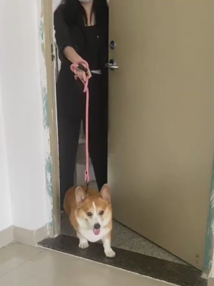 Dog Paw Cleaner, cleaning and massaging